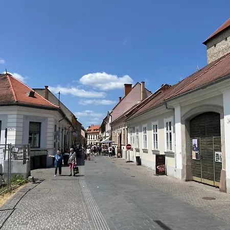 Apartman Aranyvár *